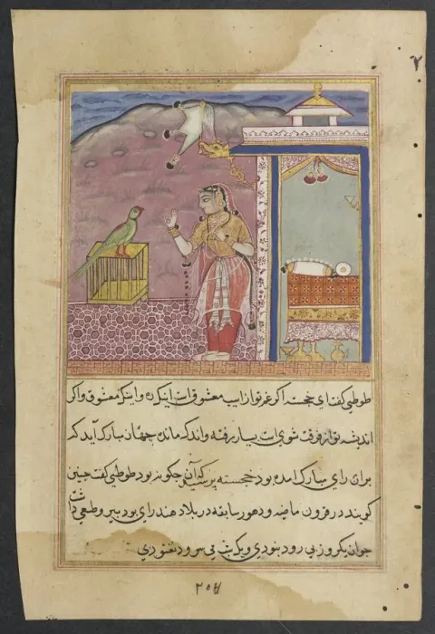Framed Print : Page from Tales of a Parrot (Tuti-nama): Forty-fourth night: The parrot addresses Framed Print : Page from Tales of a Parrot (Tuti-nama): Forty-fourth night: The parrot addresses