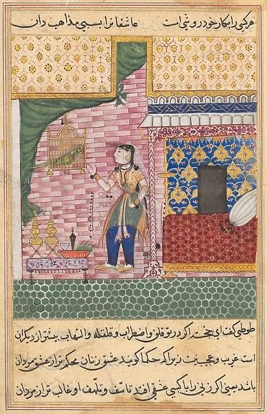 Page from Tales of a Parrot (Tuti-nama): Seventeenth night: The parrot... c. 1560