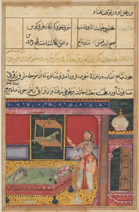 Framed Print : Page from Tales of a Parrot (Tuti-nama): Sixth night: The parrot addresses Khujasta Framed Print : Page from Tales of a Parrot (Tuti-nama): Sixth night: The parrot addresses Khujasta