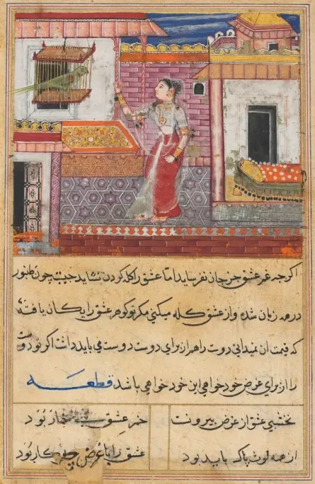 Framed Print : Page from Tales of a Parrot (Tuti-nama): Thirteenth night: The parrot addresses Khujasta Framed Print : Page from Tales of a Parrot (Tuti-nama): Thirteenth night: The parrot addresses Khujasta