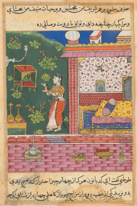 Framed Print : Page from Tales of a Parrot (Tuti-nama): Thirtieth night: The parrot addresses Khujasta Framed Print : Page from Tales of a Parrot (Tuti-nama): Thirtieth night: The parrot addresses Khujasta