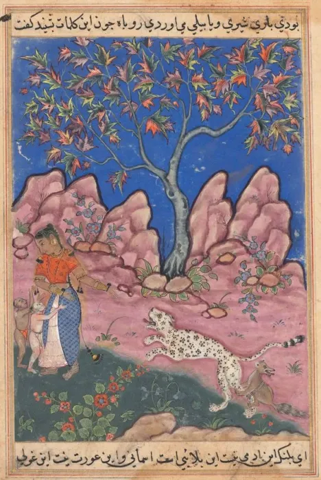 Framed Print : Page from Tales of a Parrot (Tuti-nama): Thirtieth night: The woman conversing... c Framed Print : Page from Tales of a Parrot (Tuti-nama): Thirtieth night: The woman conversing... c