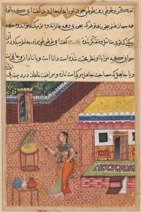 Framed Print : Page from Tales of a Parrot (Tuti-nama): Thirty-fourth night: The parrot addresses Khujasta Framed Print : Page from Tales of a Parrot (Tuti-nama): Thirty-fourth night: The parrot addresses Khujasta