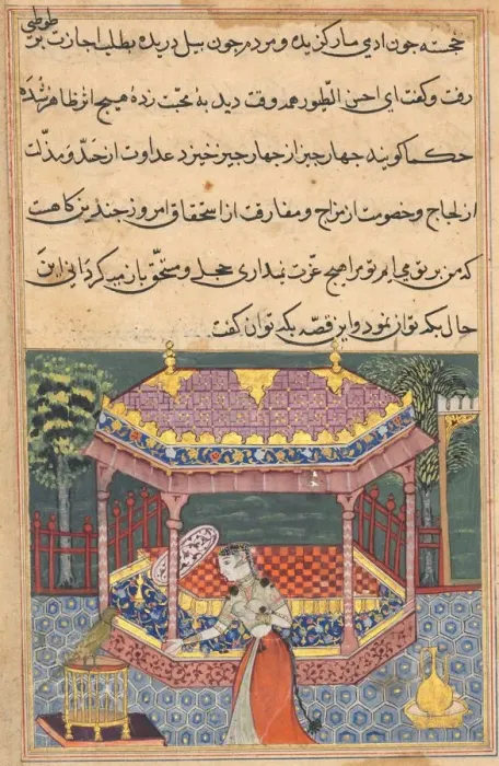 Framed Print : Page from Tales of a Parrot (Tuti-nama): Thirty-seventh night: The parrot addresses Khujasta Framed Print : Page from Tales of a Parrot (Tuti-nama): Thirty-seventh night: The parrot addresses Khujasta