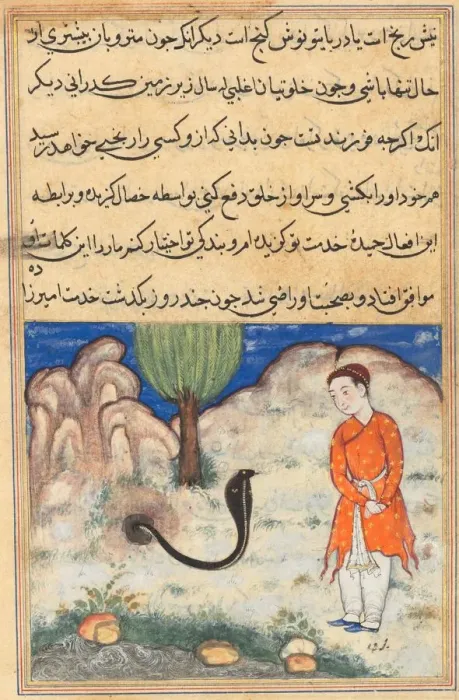 Framed Print : Page from Tales of a Parrot (Tuti-nama): Thirty-seventh night: The prince... c. 1560 Framed Print : Page from Tales of a Parrot (Tuti-nama): Thirty-seventh night: The prince... c. 1560