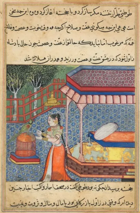 Framed Print : Page from Tales of a Parrot (Tuti-nama): Thirty-sixth night: The parrot addresses Khujasta Framed Print : Page from Tales of a Parrot (Tuti-nama): Thirty-sixth night: The parrot addresses Khujasta