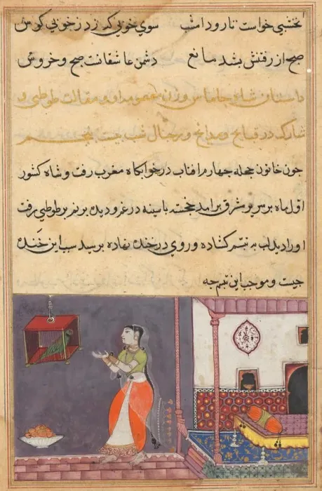 Framed Print : Page from Tales of a Parrot (Tuti-nama): Twenty-fifth night: The parrot addresses Khujasta Framed Print : Page from Tales of a Parrot (Tuti-nama): Twenty-fifth night: The parrot addresses Khujasta