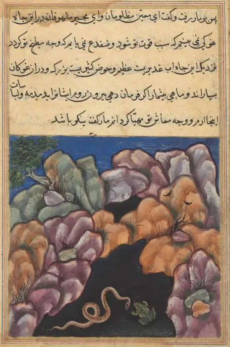 Framed Print : Page from Tales of a Parrot (Tuti-nama): Twenty-sixth night: The snake enters... c Framed Print : Page from Tales of a Parrot (Tuti-nama): Twenty-sixth night: The snake enters... c