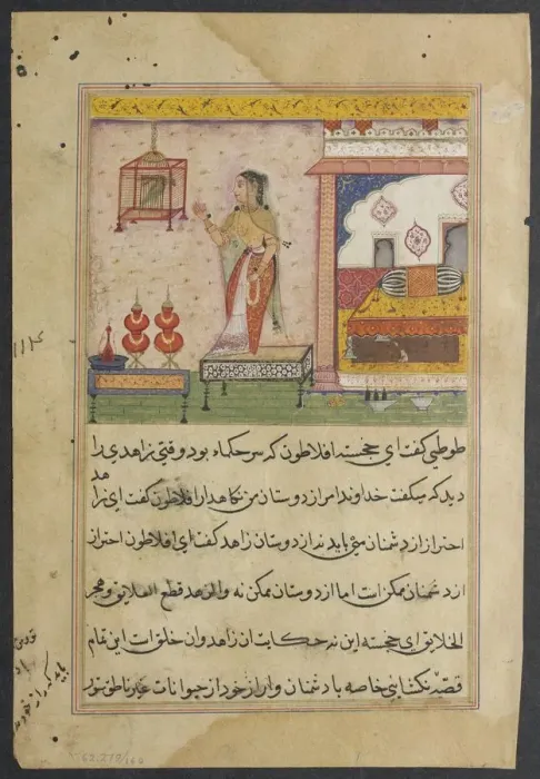 Framed Print : Page from Tales of a Parrot (Tuti-nama): Twenty-third night: The parrot addresses Framed Print : Page from Tales of a Parrot (Tuti-nama): Twenty-third night: The parrot addresses