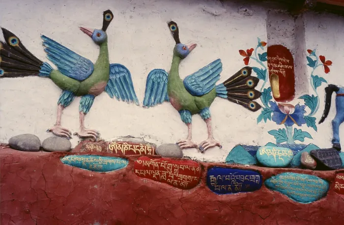 Framed Print : Painted relief of birds, Ladakh, India, 1988. Creator: Amanda Waite Framed Print : Painted relief of birds, Ladakh, India, 1988. Creator: Amanda Waite