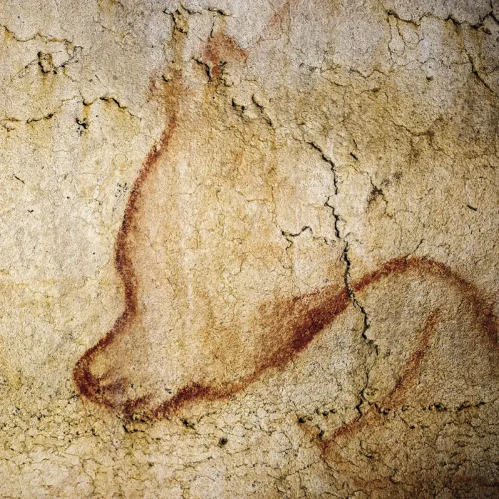 Framed Print : Painting in the Chauvet cave, 32, 000-30, 000 BC Framed Print : Painting in the Chauvet cave, 32, 000-30, 000 BC