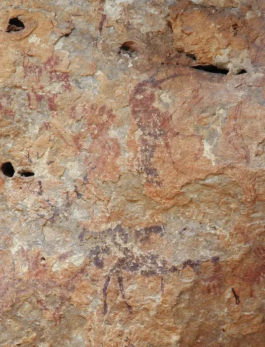 Framed Print : Painting in the Cuevas de la Arana, Between 10000 und 6000 BC Framed Print : Painting in the Cuevas de la Arana, Between 10000 und 6000 BC