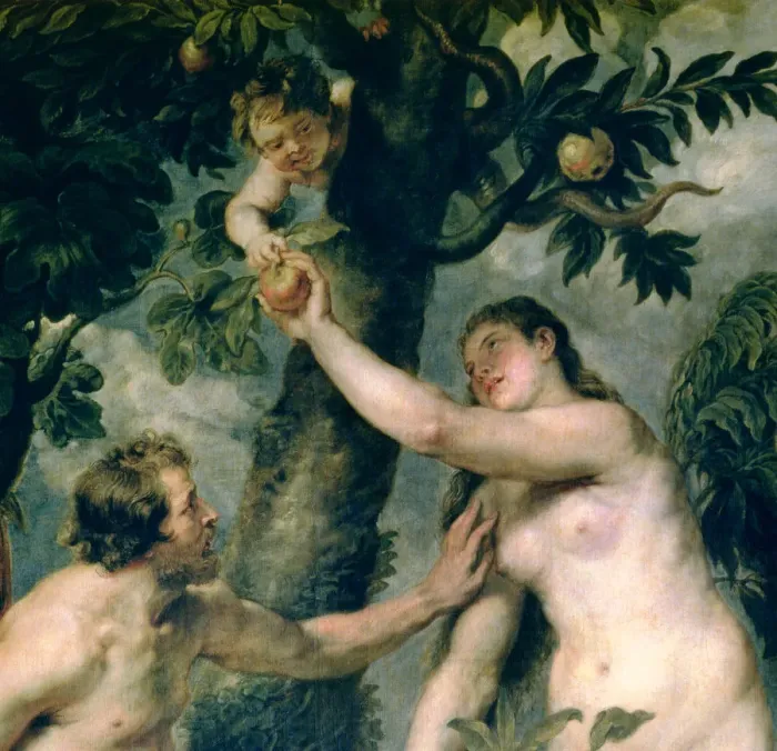 Framed Print : Detail of painting by Peter Paul Rubens (1577 - 1640) Adam and Eve, preserved in Framed Print : Detail of painting by Peter Paul Rubens (1577 - 1640) Adam and Eve, preserved in
