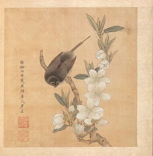 Paintings after Ancient Masters: A Bird and Peach-Blossom Branch, 1598-1652. Creator
