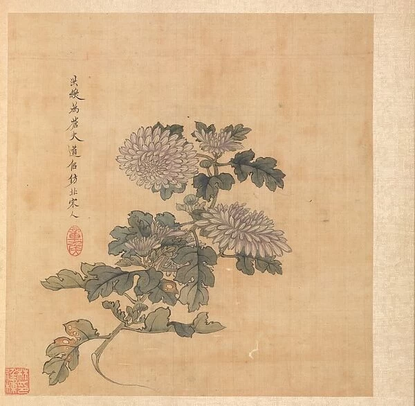 Paintings after Ancient Masters: Chrysanthemum, 1598-1652. Creator: Chen Hongshou (Chinese