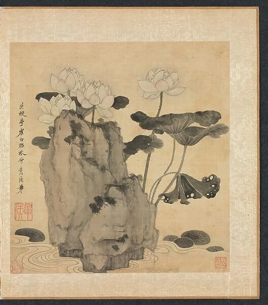 Paintings after Ancient Masters: Lotus and Rocks, 1598-1652. Creator: Chen Hongshou (Chinese