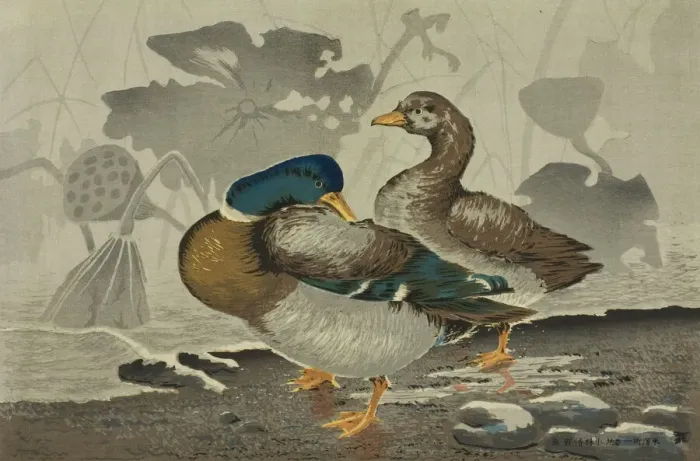 Framed Print : A pair of ducks by a lotus pond, Japan, 1879. Creator: Kobayashi Kiyochika Framed Print : A pair of ducks by a lotus pond, Japan, 1879. Creator: Kobayashi Kiyochika