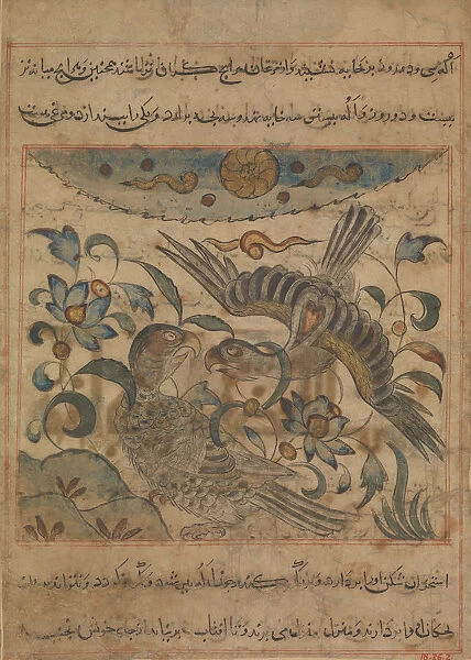 Pair of Eagles, Folio from a Manafi al-hayawan (On the Usefulness of Animals)... ca