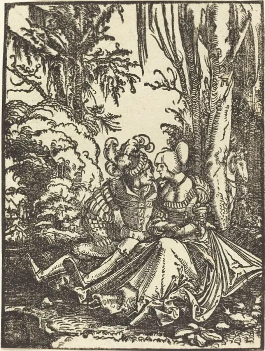 Framed Print : Pair of Lovers in a Landscape, 1511. Creator: Albrecht Altdorfer Framed Print : Pair of Lovers in a Landscape, 1511. Creator: Albrecht Altdorfer