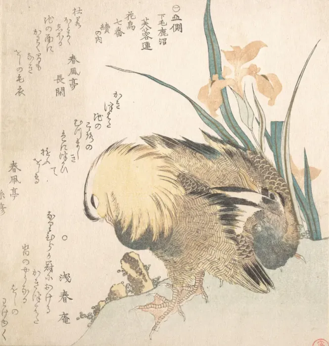 Framed Print : Pair of Mandarin Ducks and Iris Flowers, late 18th-early 19th century