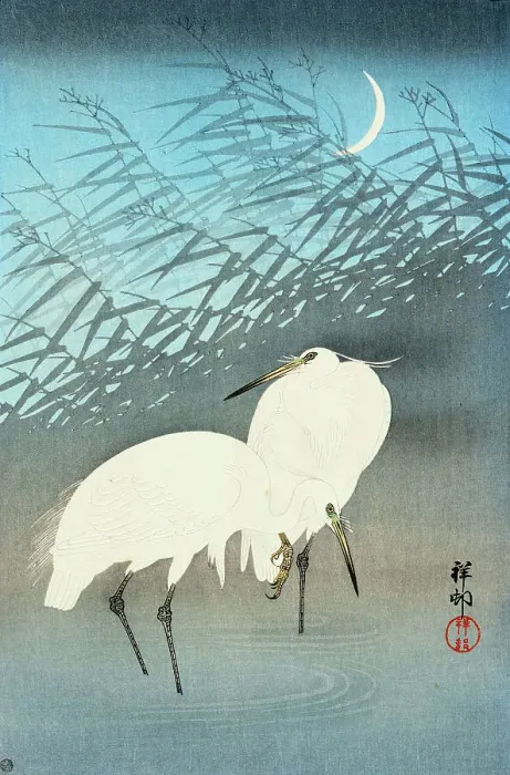 Framed Print : Pair of white egrets, 1930. Creator: Ohara Koson Framed Print : Pair of white egrets, 1930. Creator: Ohara Koson