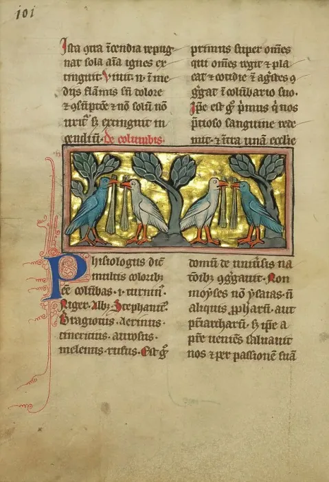 Framed Print : Two Pairs of Doves; De Natura Avium; De Pastoribus et Ovibus, 1277 or after. Creator: Unknown Framed Print : Two Pairs of Doves; De Natura Avium; De Pastoribus et Ovibus, 1277 or after. Creator: Unknown