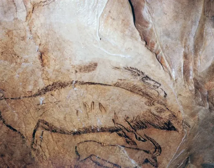 Framed Print : Paleolithic cave-painting of a bison and ibex Framed Print : Paleolithic cave-painting of a bison and ibex