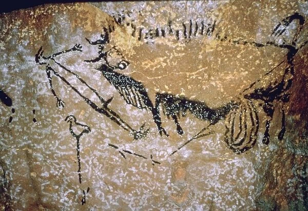 Paleolithic cave-painting of a Bison and Man from Lascaux