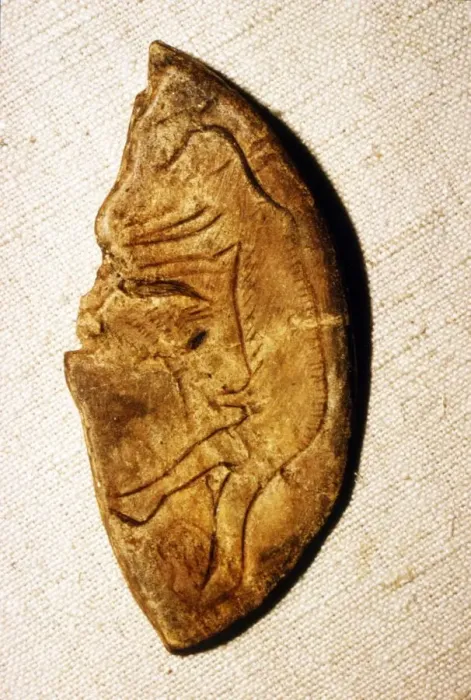 Framed Print : Paleolithic Engraving on bone of a Man from Mas d Azil, France, c50, 000BC-c10, 000 BC Framed Print : Paleolithic Engraving on bone of a Man from Mas d Azil, France, c50, 000BC-c10, 000 BC
