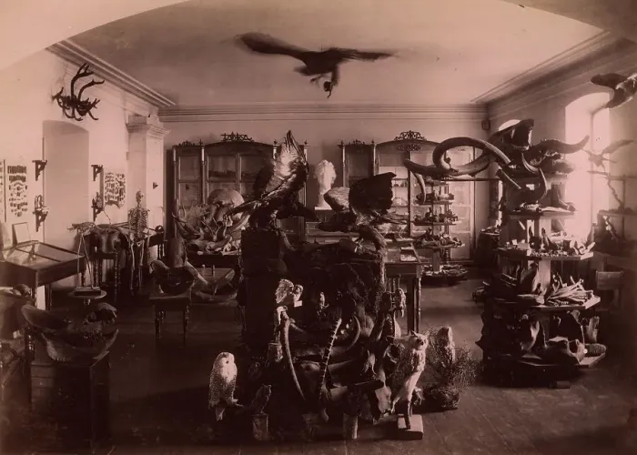 Framed Print : Paleontological and Archaeological Objects Collected from the Tyumen Area. 1889. Creator: N Terekhov Framed Print : Paleontological and Archaeological Objects Collected from the Tyumen Area. 1889. Creator: N Terekhov