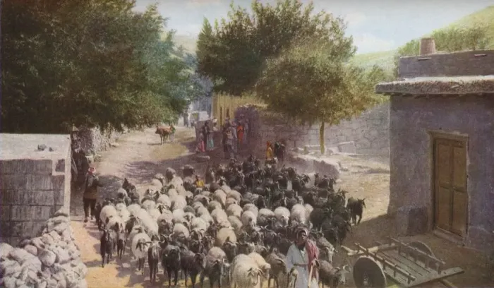 Framed Print : Palestine, c1930s. Artist: Ewing Galloway Framed Print : Palestine, c1930s. Artist: Ewing Galloway