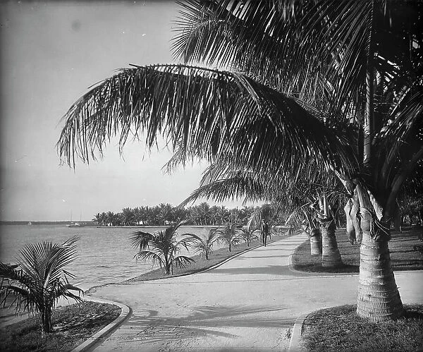 Palm Beach, c1894. Creator: William H. Jackson