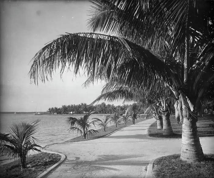 Framed Print : Palm Beach, c1894. Creator: William H. Jackson Framed Print : Palm Beach, c1894. Creator: William H. Jackson