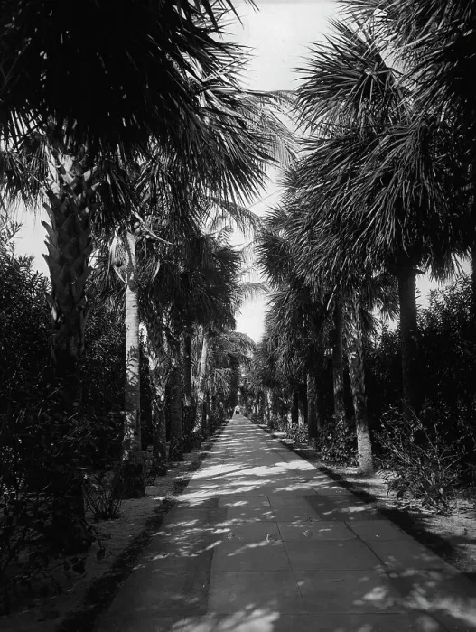 Framed Print : Palm Beach, Florida, Ocean Avenue, between 1880 and 1901. Creator: Unknown Framed Print : Palm Beach, Florida, Ocean Avenue, between 1880 and 1901. Creator: Unknown