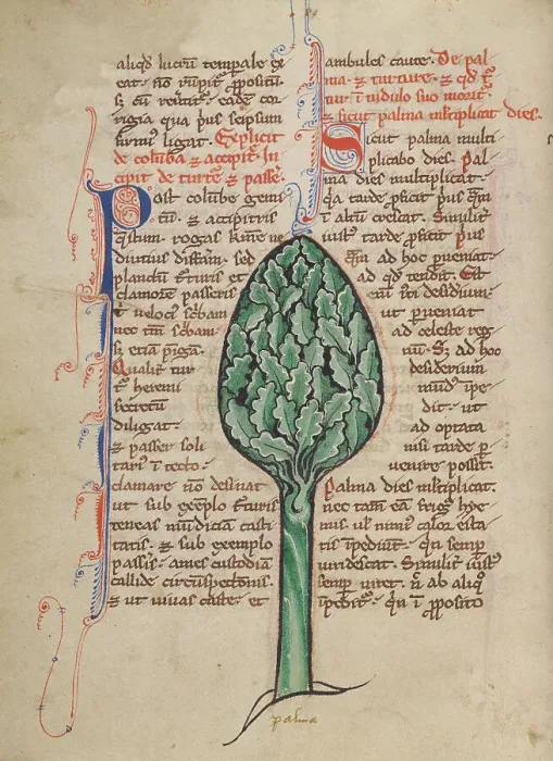 Framed Print : A Palm Tree; Bestiary, about 1270. Creator: Unknown Framed Print : A Palm Tree; Bestiary, about 1270. Creator: Unknown
