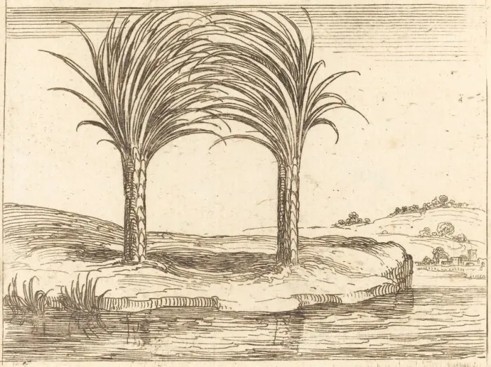 Framed Print : Two Palm Trees. Creator: Jacques Callot Framed Print : Two Palm Trees. Creator: Jacques Callot
