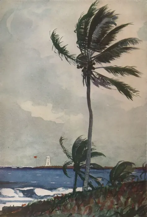 Framed Print : Palm Trees, Nassau, 1898, (1932). Artist: Winslow Homer Framed Print : Palm Trees, Nassau, 1898, (1932). Artist: Winslow Homer