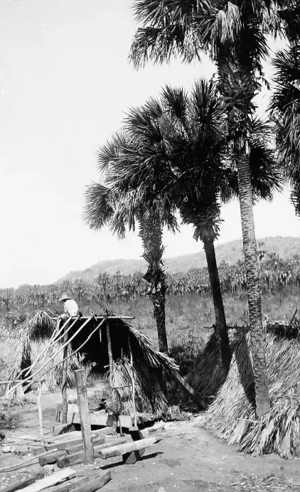 Framed Print : Palms and straw houses at Rascon, between 1880 and 1897. Creator: William H. Jackson Framed Print : Palms and straw houses at Rascon, between 1880 and 1897. Creator: William H. Jackson