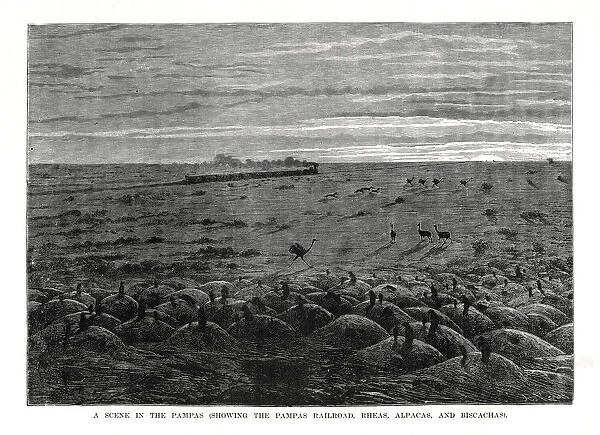 The Pampas railroad, South American lowlands, 1877