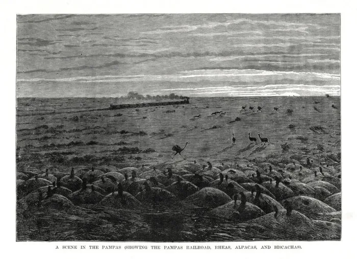 Framed Print : The Pampas railroad, South American lowlands, 1877 Framed Print : The Pampas railroad, South American lowlands, 1877