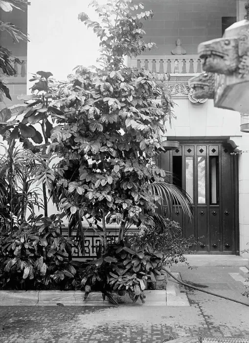 Framed Print : Pan American Union - Corner of Patio, 1916. Creator: Harris & Ewing. Pan American Union - Corner of Patio, 1916. Creator: Harris & Ewing Framed Print : Pan American Union - Corner of Patio, 1916. Creator: Harris & Ewing. Pan American Union - Corner of Patio, 1916. Creator: Harris & Ewing