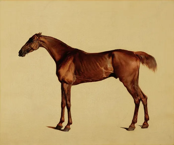 Framed Print : Pangloss, about 1762. Creator: George Stubbs Framed Print : Pangloss, about 1762. Creator: George Stubbs
