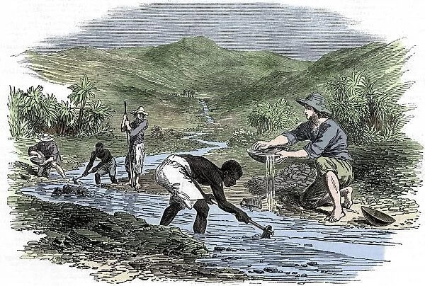 Panning for gold during the Californian Gold Rush of 1849
