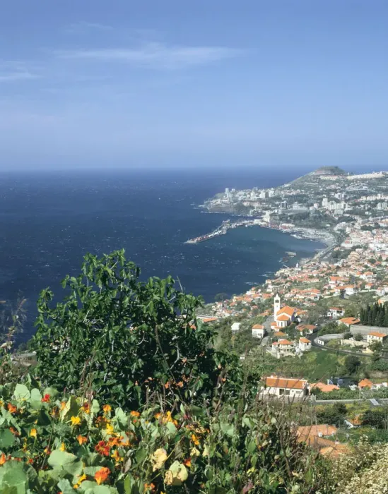 Framed Print : Panorama, Funchal, Madeira, Portugal Framed Print : Panorama, Funchal, Madeira, Portugal