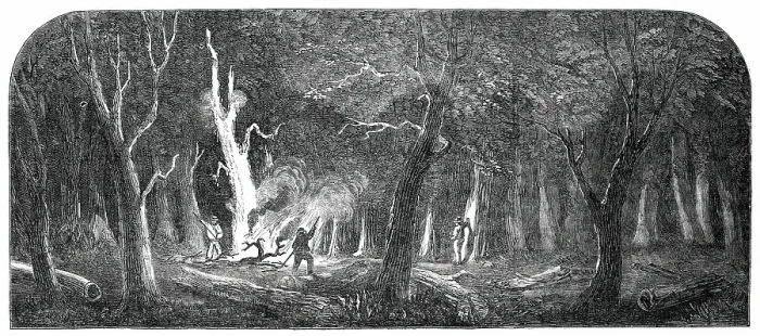 Framed Print : Panorama of the Ohio - Clearing a Forest, 1850. Creator: Unknown Framed Print : Panorama of the Ohio - Clearing a Forest, 1850. Creator: Unknown