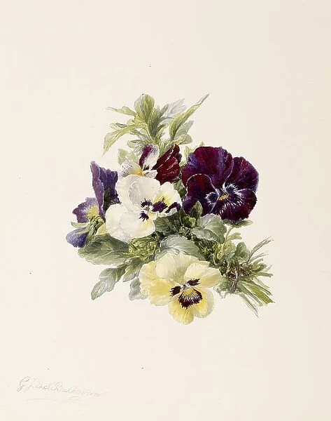 Pansies, c1865. Creator: Gerardina Jacoba van de Sande Bakhuyzen