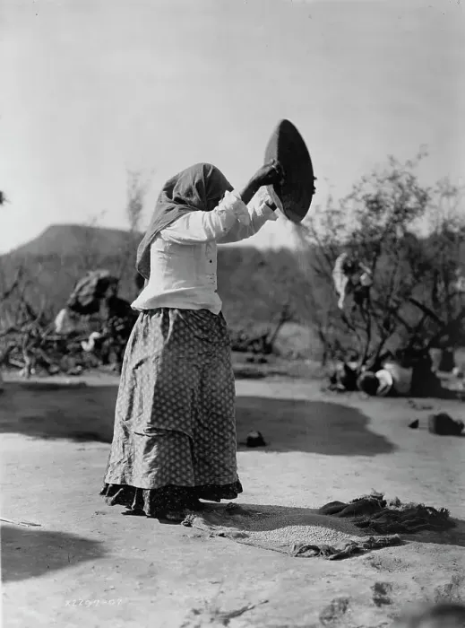 Framed Print : Papago cleaning wheat (Winnowing wheat), c1907. Creator: Edward Sheriff Curtis Framed Print : Papago cleaning wheat (Winnowing wheat), c1907. Creator: Edward Sheriff Curtis
