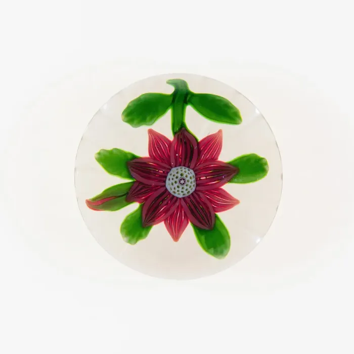 Framed Print : Paperweight, Baccarat, c. 1845-60. Creator: Baccarat Glasshouse Framed Print : Paperweight, Baccarat, c. 1845-60. Creator: Baccarat Glasshouse