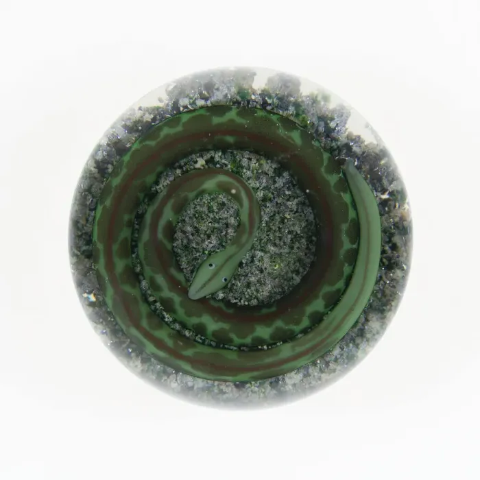 Framed Print : Paperweight, Baccarat, c. 1845-60. Creator: Baccarat Glasshouse Framed Print : Paperweight, Baccarat, c. 1845-60. Creator: Baccarat Glasshouse