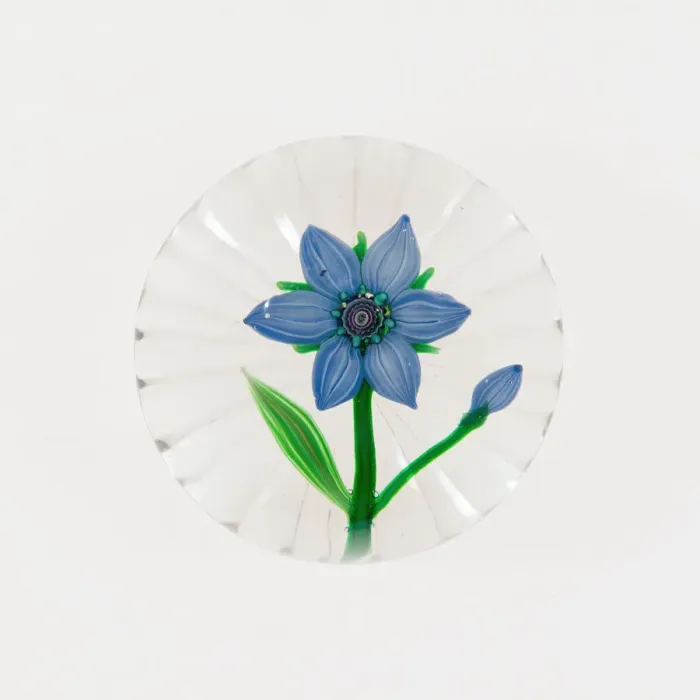 Framed Print : Paperweight, Clichy, 19th century. Creator: Clichy Glassworks Framed Print : Paperweight, Clichy, 19th century. Creator: Clichy Glassworks